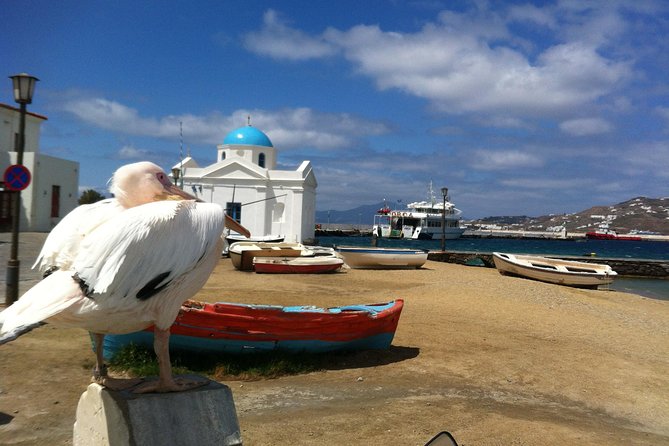 Private Tour: Mykonos Island in Half a Day - Ano Mera and the Panagia Tourliani monastery: a quieter Mykonos angle