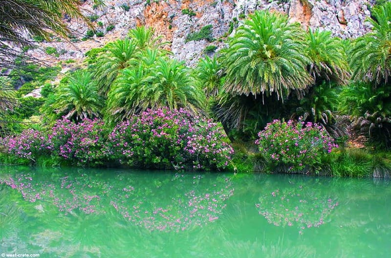 Rethymno/Chania: Preveli Beach and Kourtaliotiko Gorge Tour - Practical Tips That Make the Day Easier