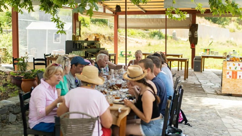 Rethymno: Full-Day Land Rover Safari to Preveli - Kourtaliotiko Gorge: wild Cretan nature in short, guided bursts