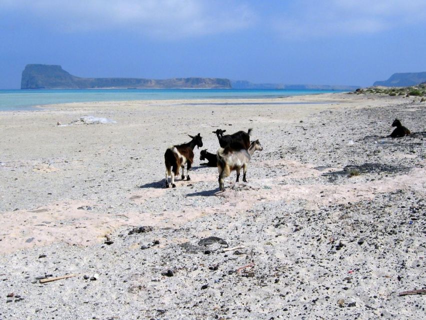 Rethymno: Gramvousa & Balos Lagoon Day Trip with Boat Ticket - From Rethymno to Gramvousa and Balos, this route is hard to beat