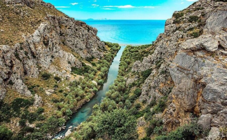 Rethymno: Preveli Beach Damnoni Beach Kourtaliotiko Day Trip - Preveli Beach and the palm-forest river: the main event