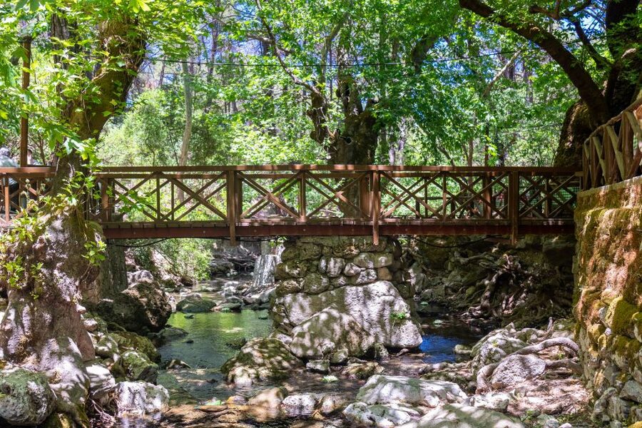 Rhodes: Butterfly Valley and Seven Springs Valley Day Trip - What Your Two Hours Look Like at Each Stop (and How to Not Feel Rushed)