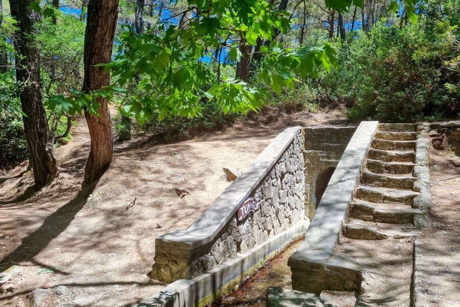 Rhodes: Butterfly Valley and Seven Springs Valley Day Trip - Who Should Book This Day Trip (and Who Should Skip It)