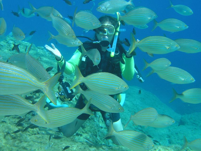 Rhodes: Diving Adventure for Beginners and Experts - Key things I’d circle before you book