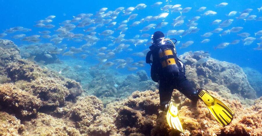 Rhodes: Diving Adventure for Beginners and Experts - Getting to Kalithea from Rhodes: Mandraki Harbour, shuttles, and timing