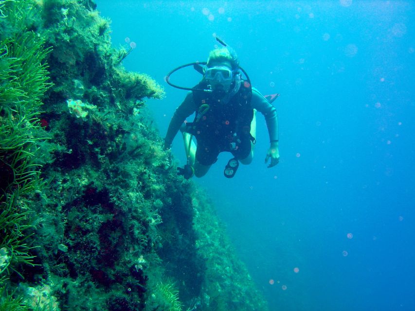 Rhodes: Diving Adventure for Beginners and Experts - What happens at the water: snorkeling plus a guided scuba session in Kalithea