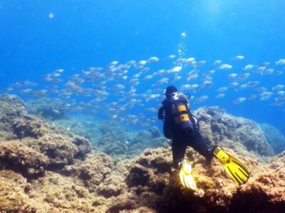 Diving Adventure for Beginners and Experts