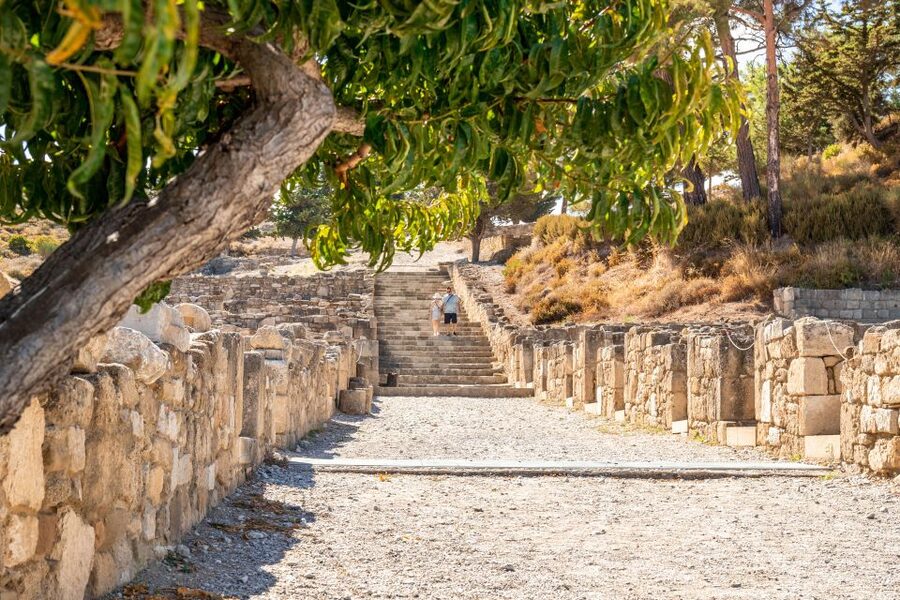 Rhodes: Grand Island Tour with Kamiros, Lindos, and More - Guide and driver: why the best days start with the right team