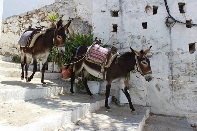 Rhodes, Lindos and Medieval City Guided Tour from Cruise Port - Air-Conditioned Lindos Day Trip, Starting Right at the Pier