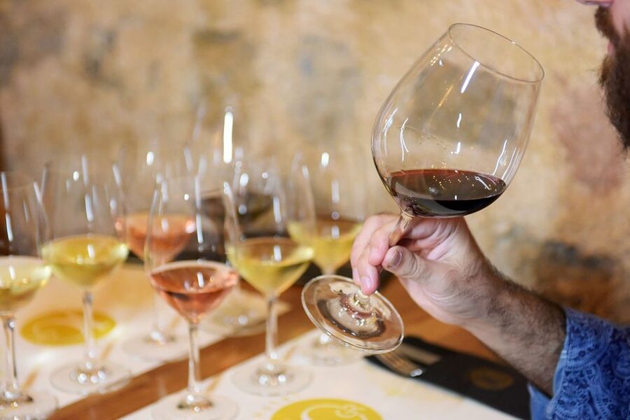 Rhodes: Private Wine Tasting Experience for Beginners - Food pairing mechanics, from first sip to last bite
