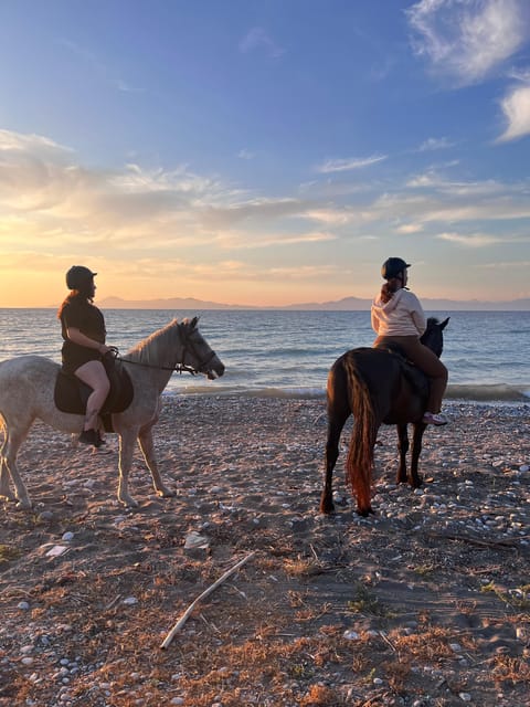Rhodes: Seaside Horseback Riding Experience - Key highlights at NiVaRanch (Rhodes seaside horseback ride)