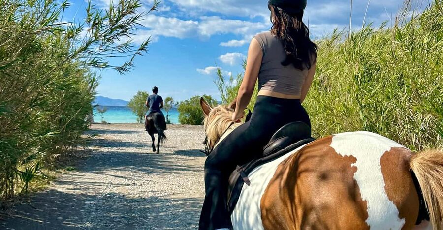 Rhodes: Seaside Horseback Riding Experience - First Moments at NiVa Horse Ranch in Rhodes