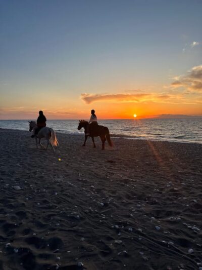 Seaside Horseback Riding Experience