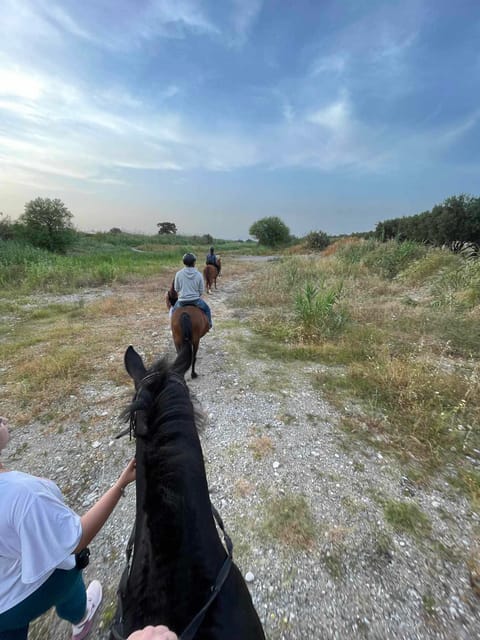 Rhodes: Seaside Horseback Riding Experience - Beach Time and Sunset Watching by the Water