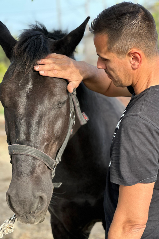 Rhodes: Seaside Horseback Riding Experience - Price and Value: Is $94 a Fair Deal?