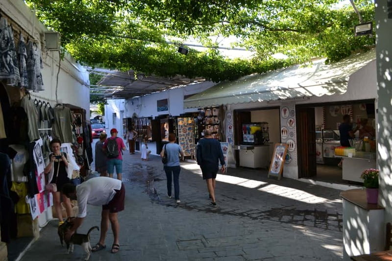 Rhodes: Small Group to Lindos with 4-Hours of Free Time - What to Pack (and What to Expect on the Ground)