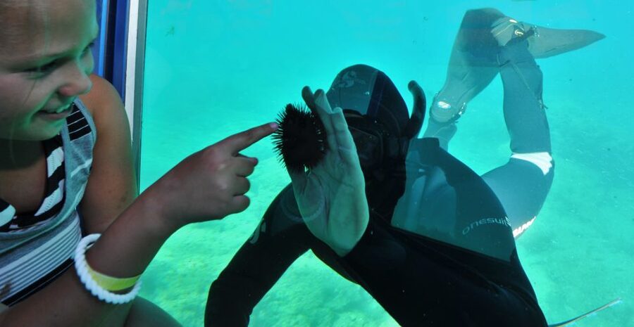 Rhodes Town: Yellow Submarine Cruise with Underwater Views - Quick hits before you go