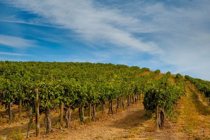 Rhodes Wine & Food Tour: 10 Meal Course Lunch, Wine Tasting, Cooking Class - Value: Why $156.01 Can Make Sense