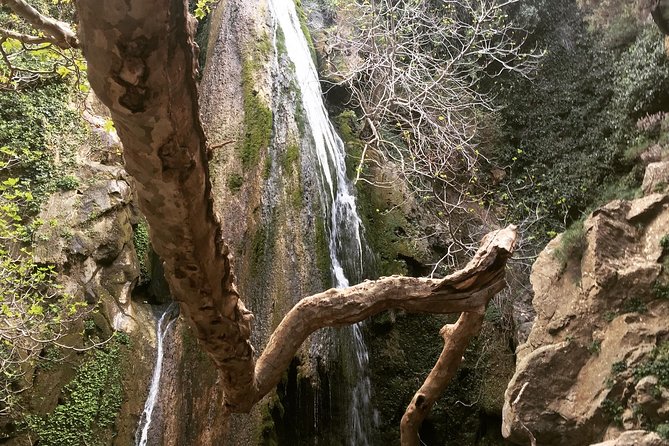 Richtis Waterfall, History, Azoria, OliveTasting, NorthCoast - Key things to know before you go