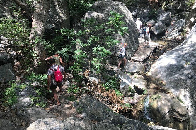 Richtis Waterfall, History, Azoria, OliveTasting, NorthCoast - First stop, then a real countryside day from Agios Nikolaos