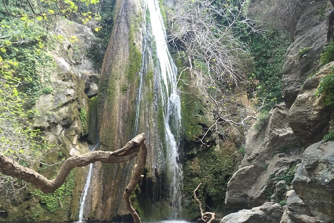 Richtis Waterfall, History, Azoria, OliveTasting, NorthCoast - Agios Nikolaos: olive oil tasting and a family factory visit