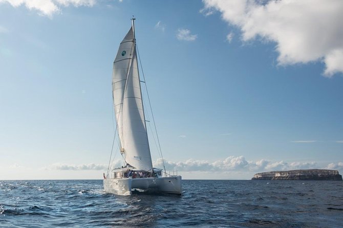 Santorini Caldera Sailing Tour with BBQ Lunch and Drinks - Palea Kameni and Nea Kameni: Volcanic Islands and Hot Springs Time