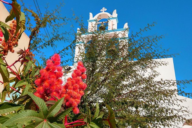 Santorini Day Tour with Sunset in Oia - Perissa Beach break: lunch on your terms