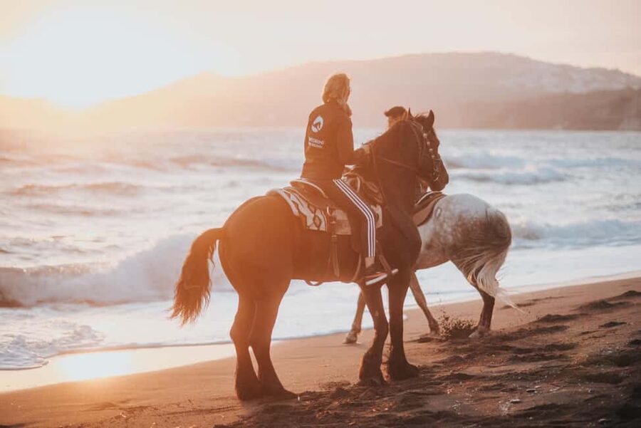 Santorini: Extreme Horse Safari with Beach Gallop - Key Points Before You Saddle Up