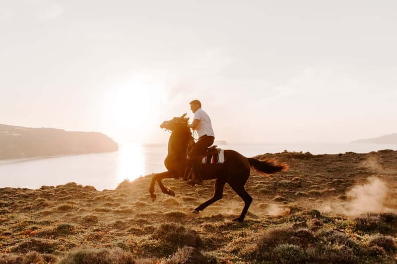 Santorini: Extreme Horse Safari with Beach Gallop - Who Should Book This, and Who Should Skip It