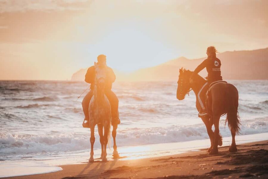 Santorini: Extreme Horse Safari with Beach Gallop - From Vineyards to Eros Beach: A Route That Builds Speed