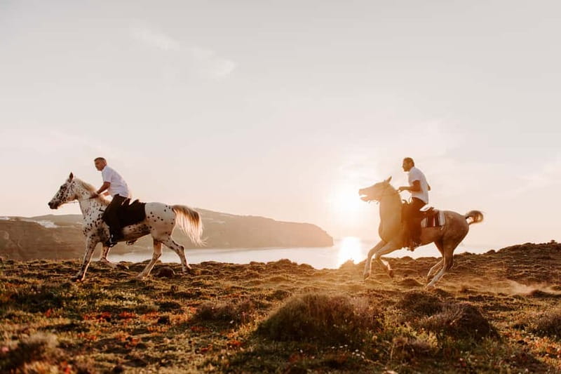 Santorini: Extreme Horse Safari with Beach Gallop - Price and Logistics: Is $176 Worth It for Two Hours?