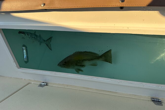 Santorini Fishing Private Cruise boat tour - BBQ, Snorkeling - BBQ on a Boat: Why the Meal Is Part of the Value