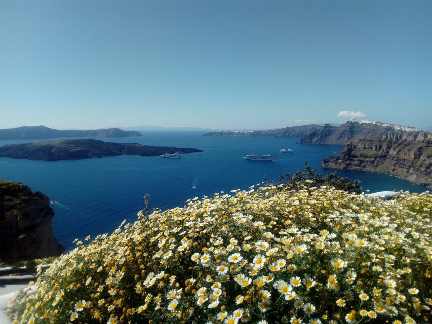 Santorini: Half-Day Sightseeing Tour with Hotel Pickup - Oia Time: Castle Views, Shopping Streets, and the Best Crowds You Can Plan For