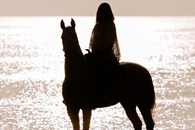 Santorini: Horse Riding to the Black Sandy Beach (Eros beach) - From Megalochori vineyards to Eros Beach, the route is the point