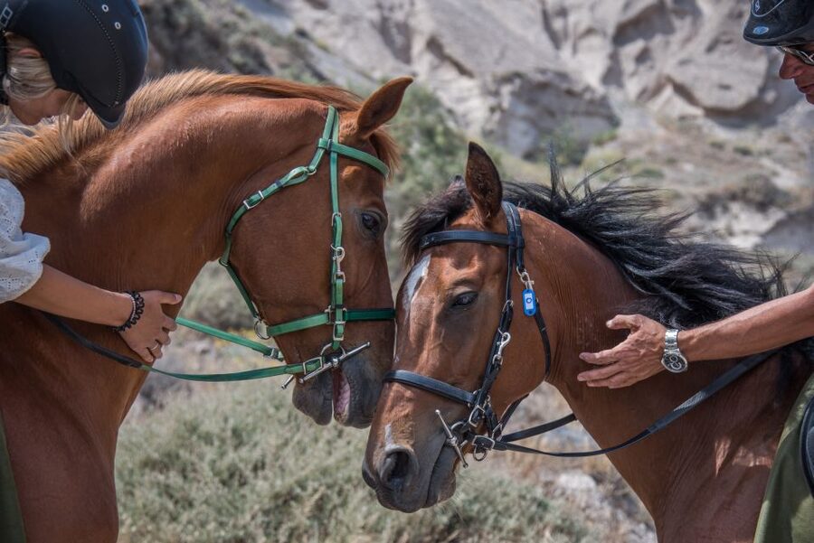 Santorini: Horse Riding Trip to Black Sandy Beach - Photo Stops and Why This Tour Helps You Get the Shot