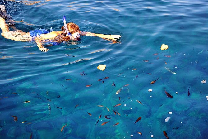 Santorini Luxury Catamaran Sunset Cruise with BBQ, Drink and Transfer - Red Beach Snorkeling: Color, Coves, and a Fast Water Break