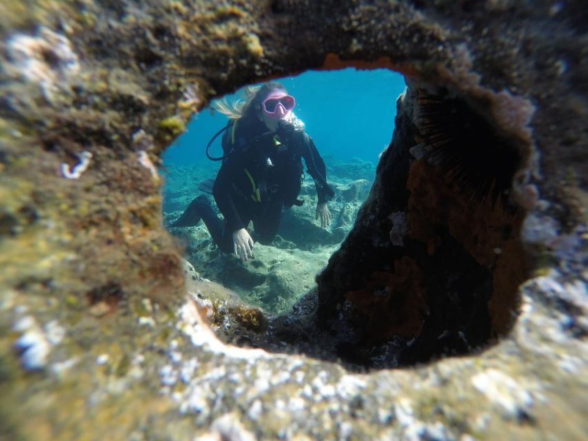 Santorini: Scuba Diving Experience in Caldera for Beginners - The caldera experience you can feel: volcanic setting plus marine life