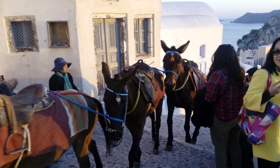 Santorini: Small-Group Highlights Tour of Venetian Castles - Perivolos Black-Sand Beach Time: Swim, Lunch, Reset