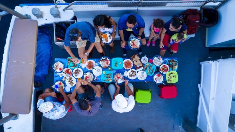 Santorini Sunset Fishing Trip with Dinner and Drinks - The fishing part: nets first, then your turn
