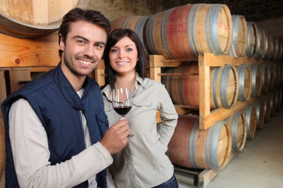 Santorini: Tour of Wineries with Wine Tasting & Food - Santorini’s Volcanic Wines, In Plain Language