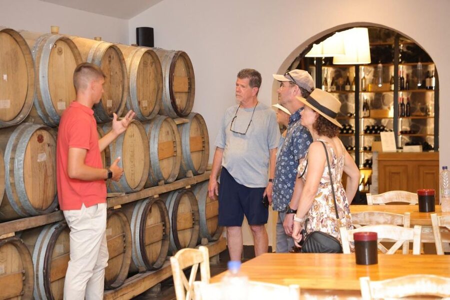 Santorini: Tour of Wineries with Wine Tasting & Food - Stop One: Photo Views, Winery Tour, and Your First Round of Tastings