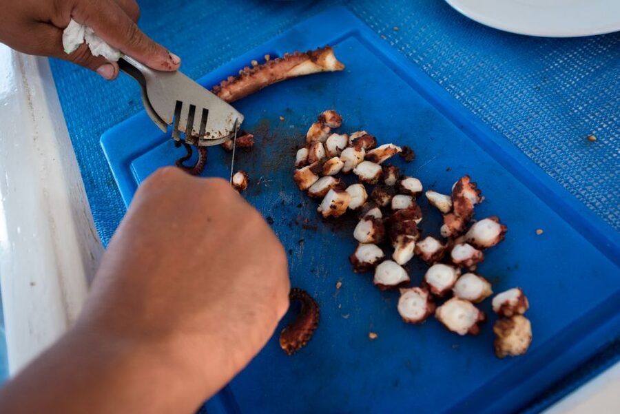 Santorini: Traditional Fishing Trip and Fresh Fish Lunch - Key highlights you’ll feel fast