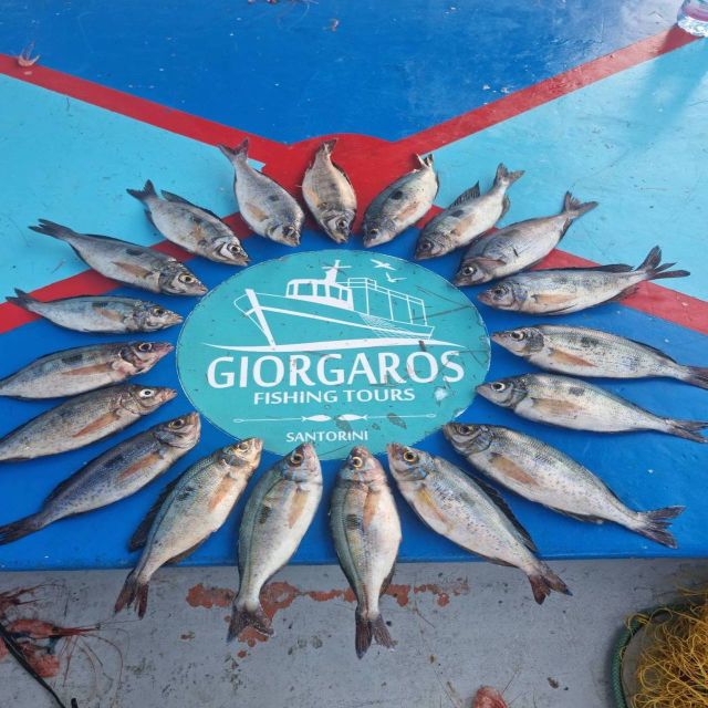 Santorini: Traditional Fishing Trip and Fresh Fish Lunch - The Fresh Fish Lunch That Actually Feels Like the Main Event