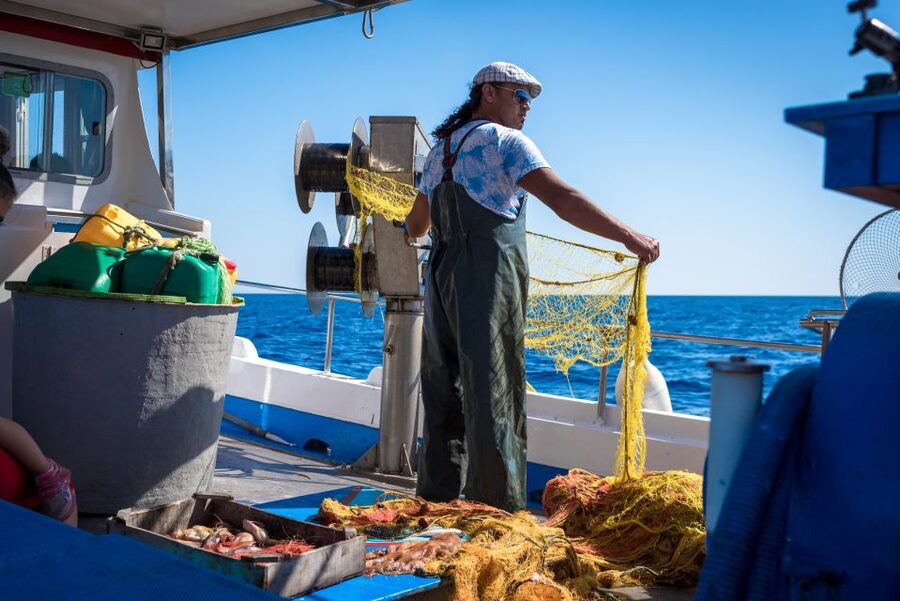 Santorini: Traditional Fishing Trip and Fresh Fish Lunch - What You’ll Catch, and Why You Should Set Realistic Expectations