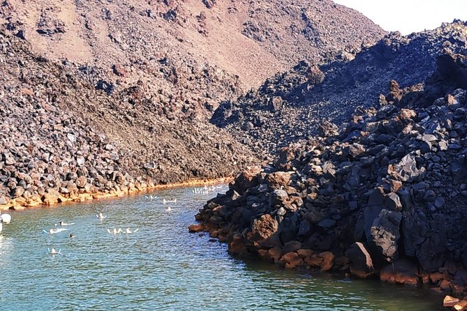 Santorini Volcanic Islands Cruise: Volcano, Hot Springs and Thirassia - Nea Kameni Lava Islet: Lava Fields and Guided Steps