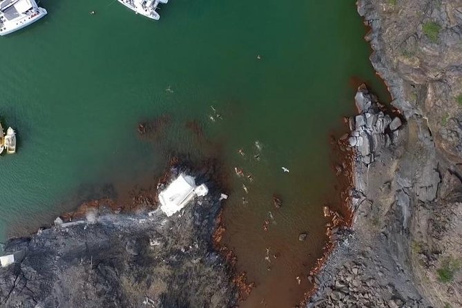 Santorini Volcano Tour - Palea Kameni Hot Springs: Mineral Water, Mud Baths, and Swim Reality