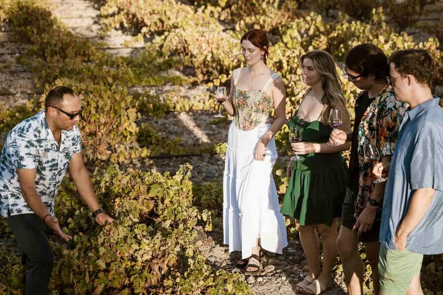 Santorini: Wine Tasting Tour with Snacks - Santorini wine is built on volcanic dirt, not marketing
