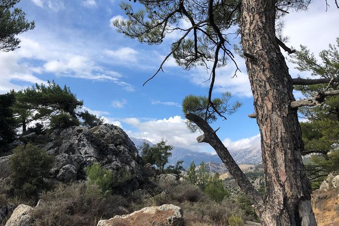 Sarakina Gorge, Kritza, Oliveoil Tasting, Mountains, South Coast - Lunch, Wine, and That Mountain-Taverna Feeling