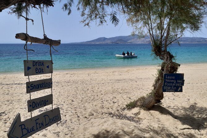 Scuba Diving in Naxos by Bluefindivers - Dive in Greece - Amazing Diving Spots - What You Should Bring (and What You Can Leave Behind)