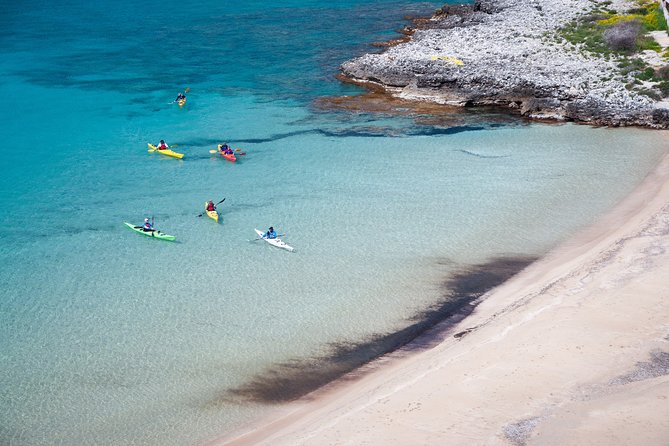 Sea Kayak in Kardamili - The Kazantzakis-Zorba moment at Kalogria Beach